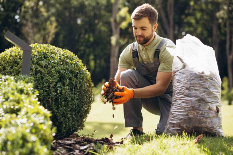 The man is reavamping the garden. He is dressed in a gardening outfit and is topping the boxwood with tree bark to retain moisture.